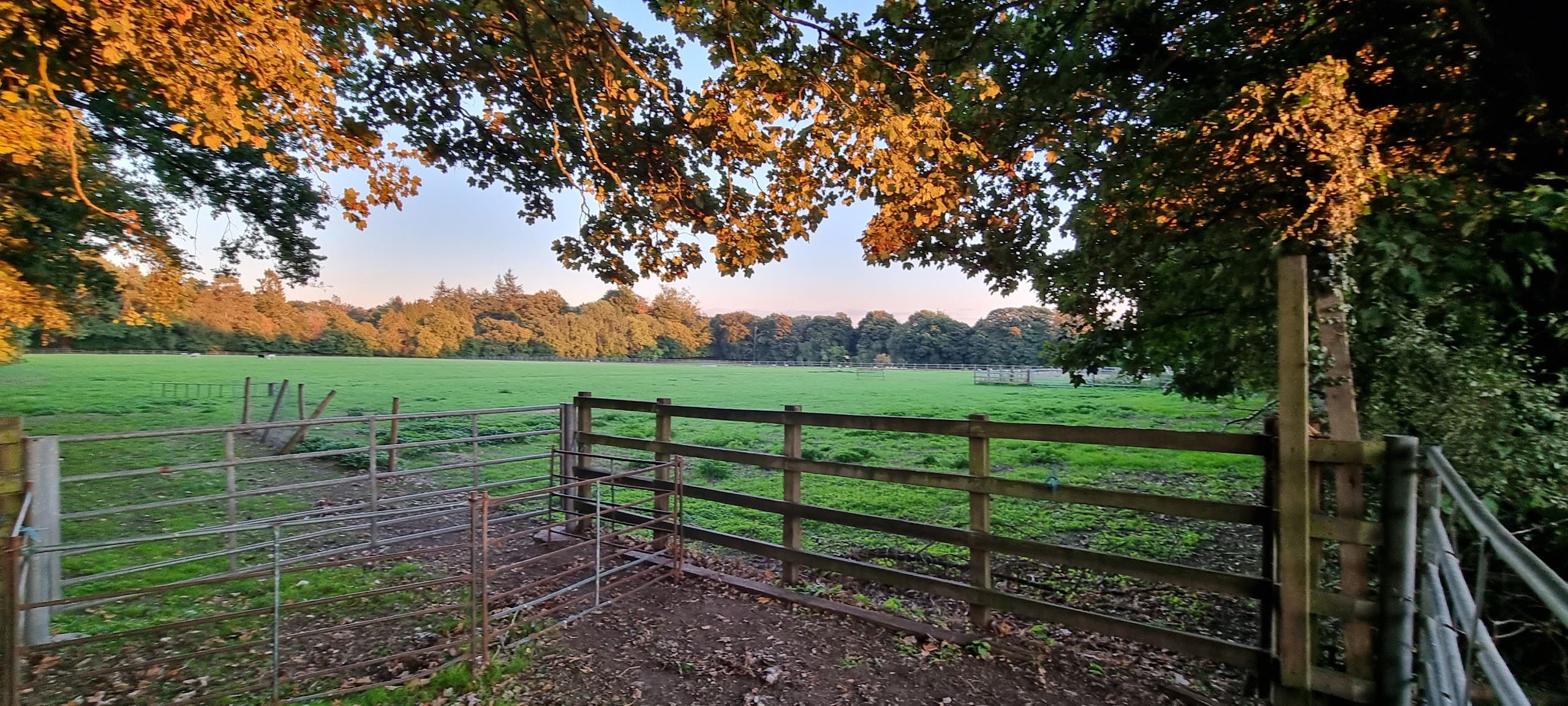 Glebe House, Welders Lane, Chalfont St. Peter, Gerrards Cross, SL9 8TU