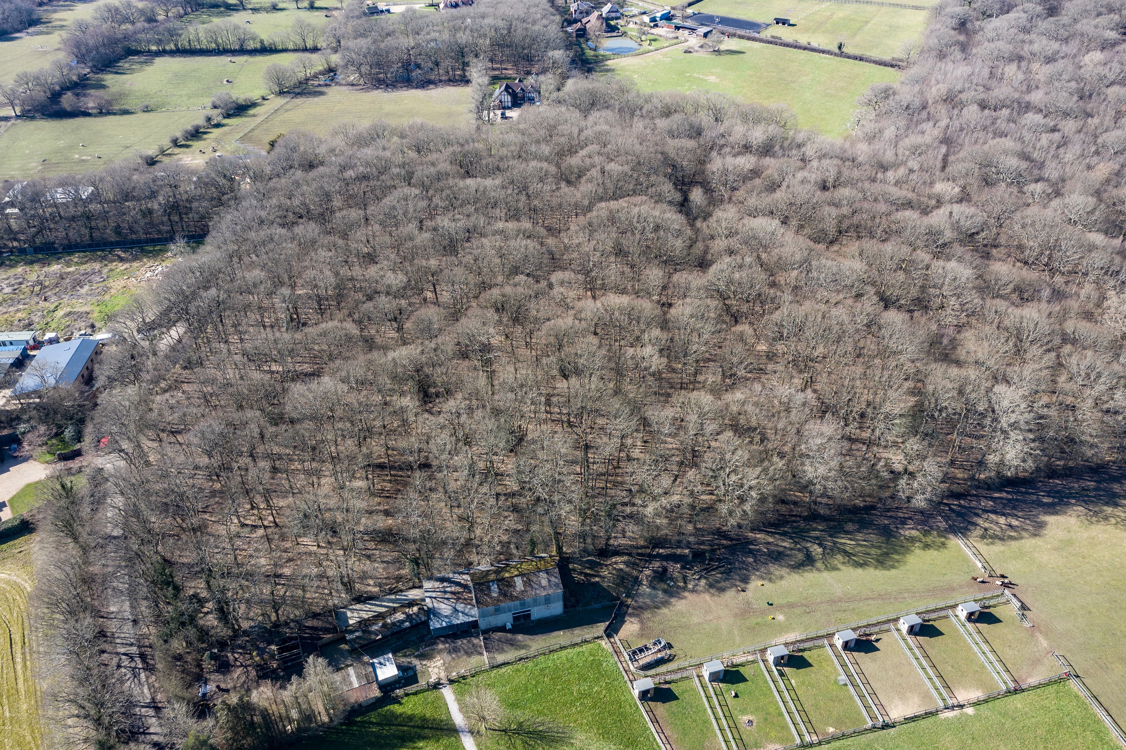 Brissenden Green Barn, Brissenden Green Lane, Bethersden, Ashford, TN26 3JX