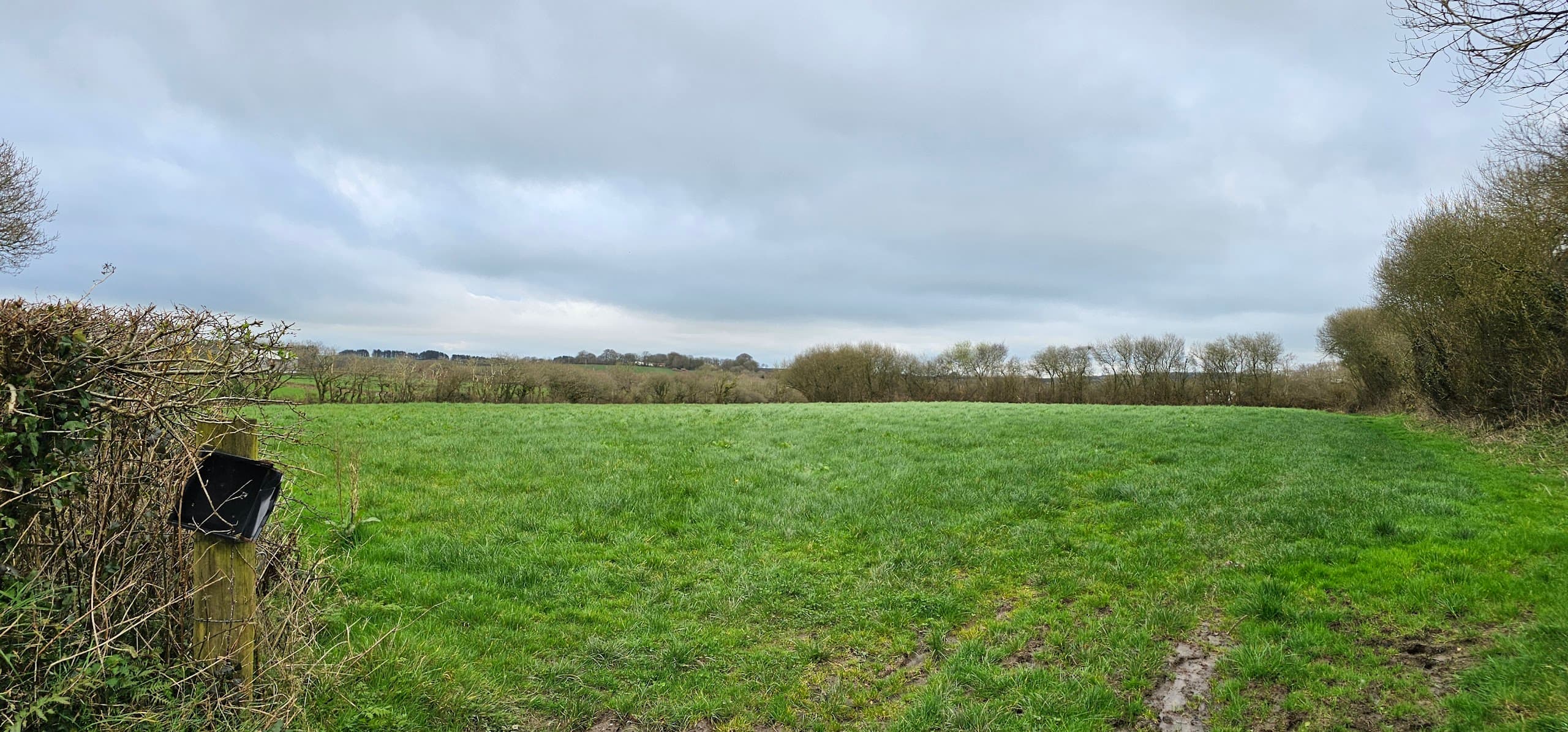 Mountjoys Youldon, Chilsworthy, Holsworthy, EX22 7JJ