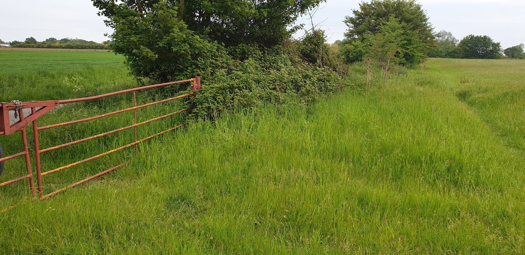 Albion House, Common Road, Dickleburgh, Diss, IP21 4PJ