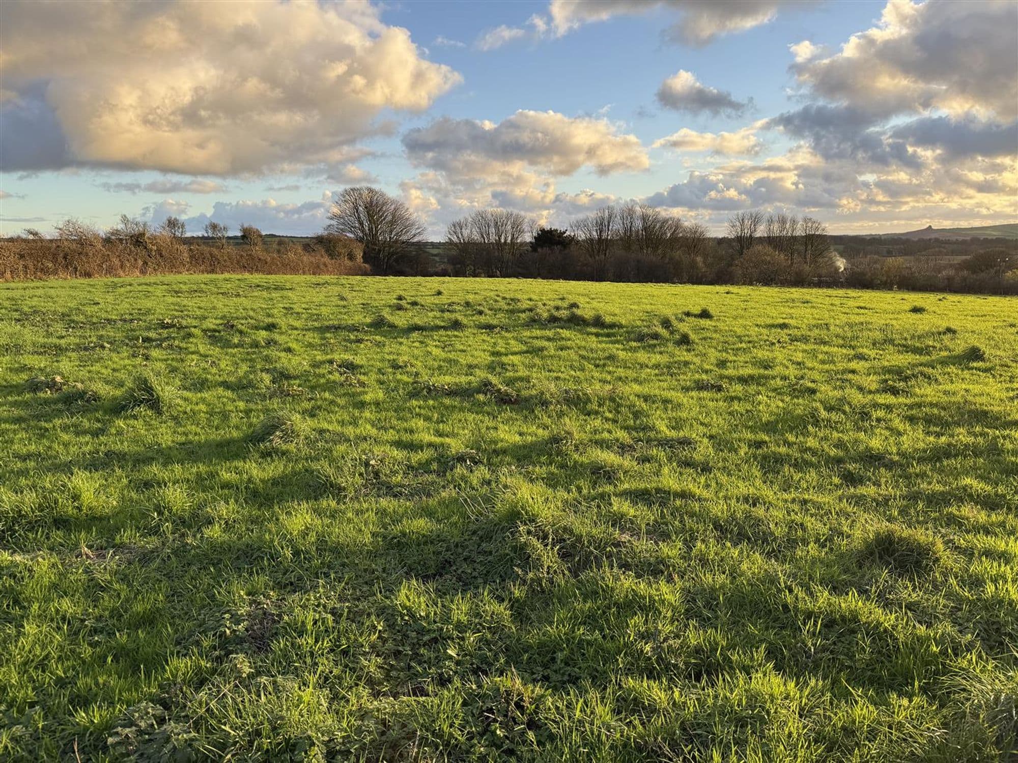 Ffynnonbedr Farm, Letterston, Haverfordwest, SA62 5TB