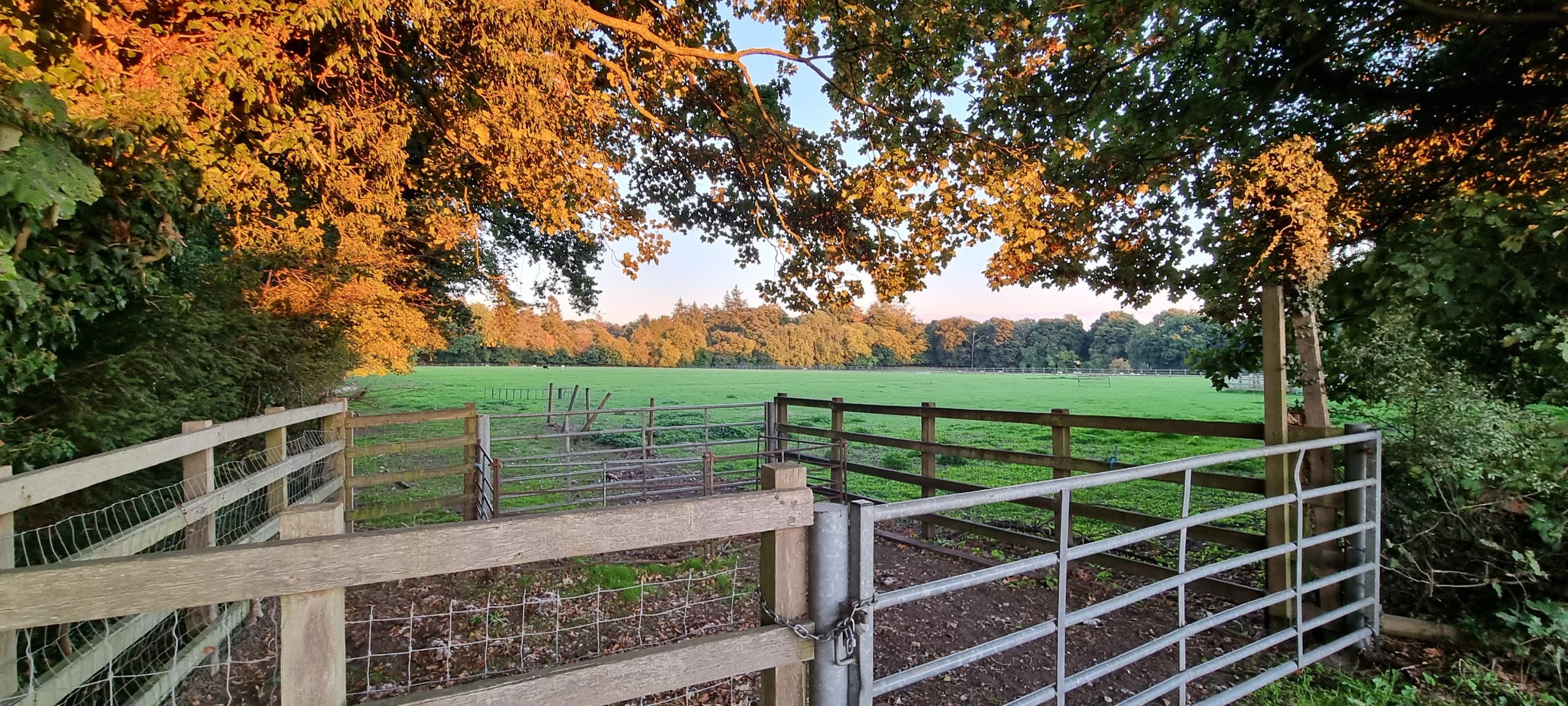 Glebe House, Welders Lane, Chalfont St. Peter, Gerrards Cross, SL9 8TU